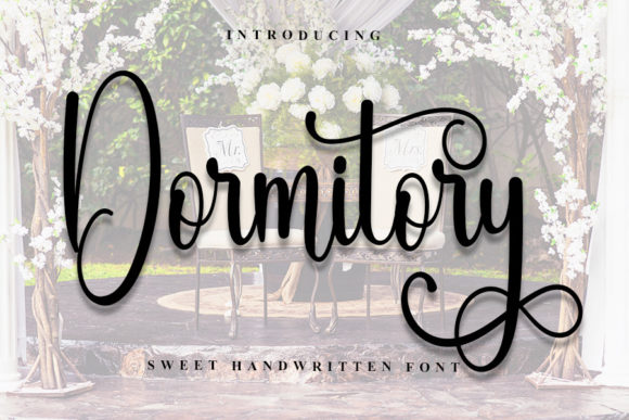 Dormitory: A Script Font for Modern Web Design