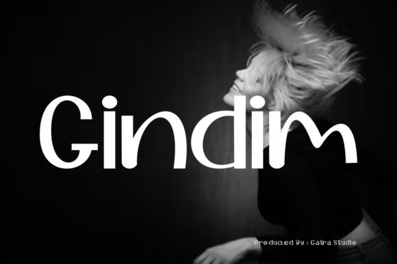Gindim: The Font That Elevates Your Brand