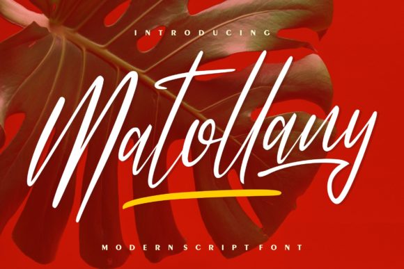 Matollany: A Font That Elevates Editorial Design