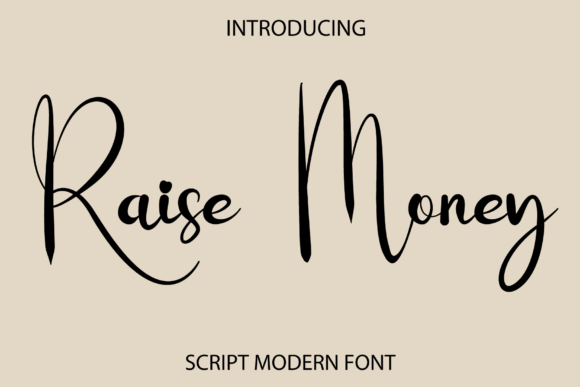 Raise Money: A Script Font That Elevates Digital Branding