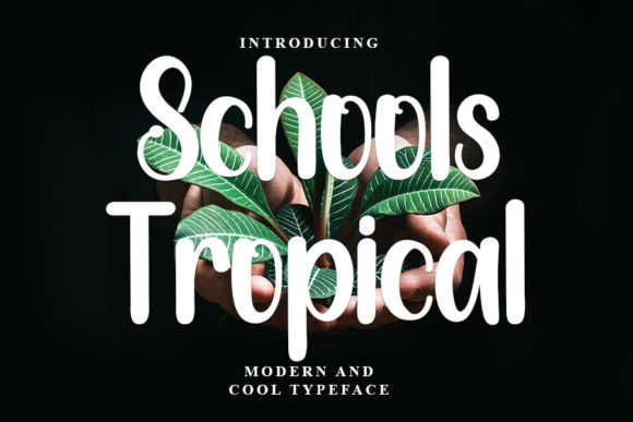 Schools Tropical Font for Professional Branding