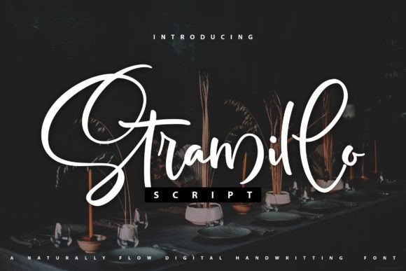 Stramillo: A Script Font That Breathes Life Into Branding
